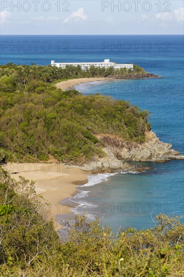 Corniche d'Or