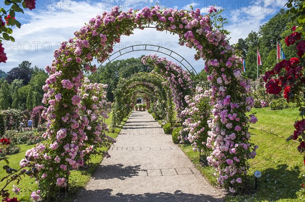 Rose arches in the Rose Garden