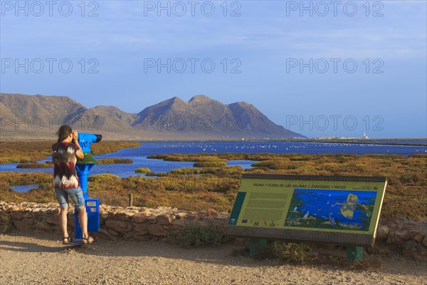 Woman watching birds through telescope