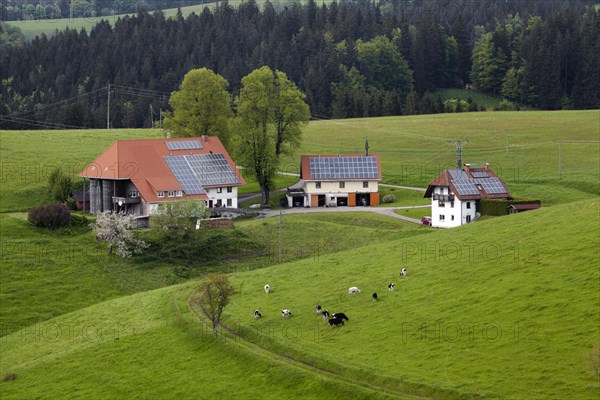 Old farm with outbuildings
