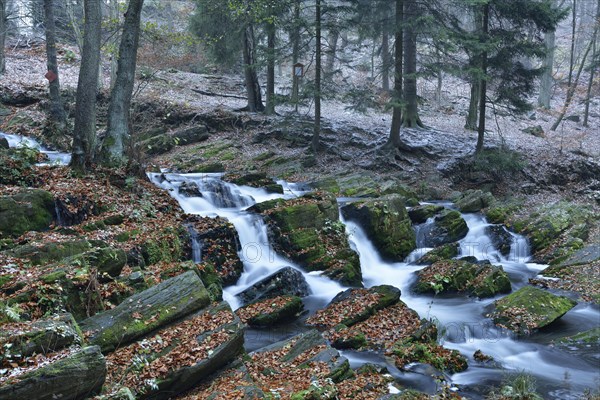 Waterfall in the Selke River in autumn