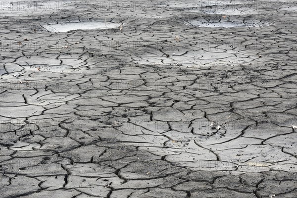 Cracked bed of a drained carp pond in autumn