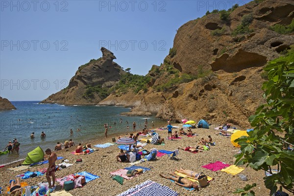 Tourists on the beach