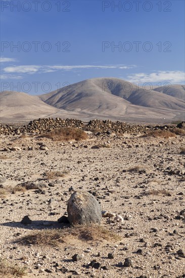 Desertlike landscape
