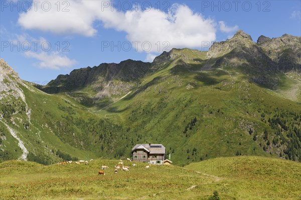 Hochweisssteinhaus mountain hut