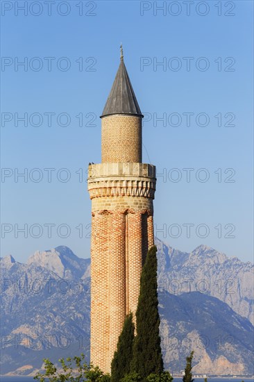 Fluted Minaret