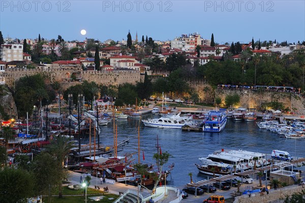 Harbour