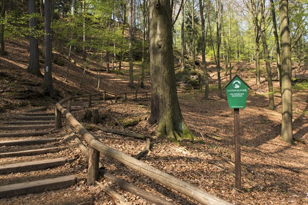 Painters' Path