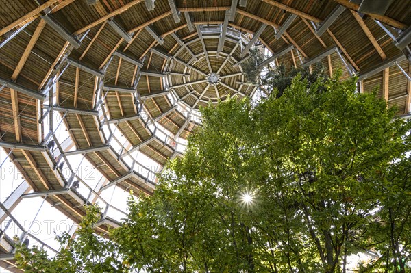 Tree tower