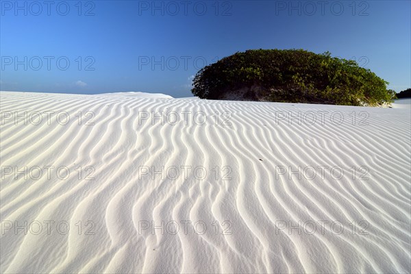 Desert of Lençóis Maranhenses