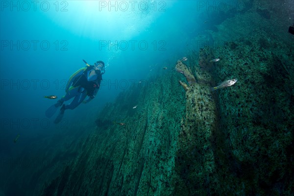 Scuba diver in Barracuda Lake