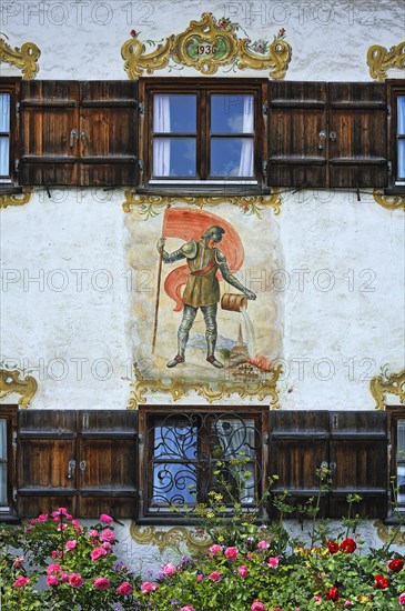 Windows with shutters
