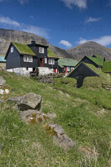 Traditional turf houses