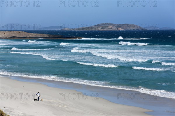 Man standing on the beach with his dogs