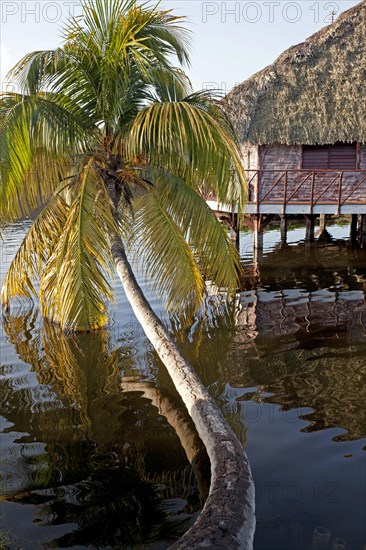 Villa Guama