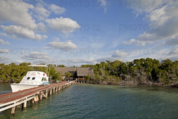 Dock and pier