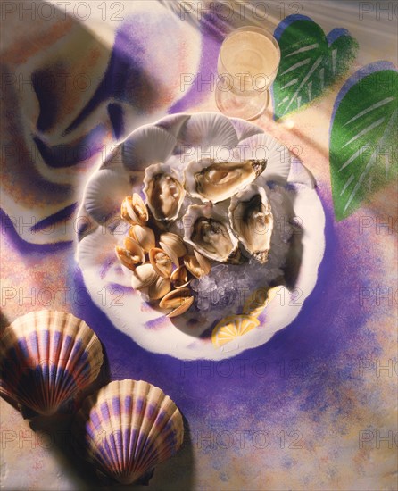Oysters on ice