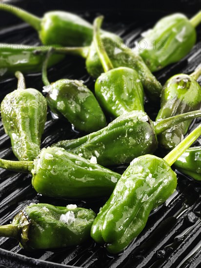 Griddled whole padron peppers
