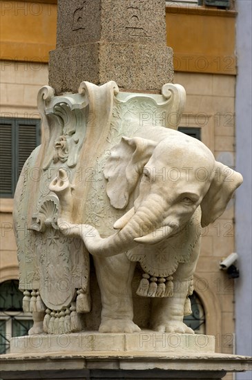 Pulcino della Minerva