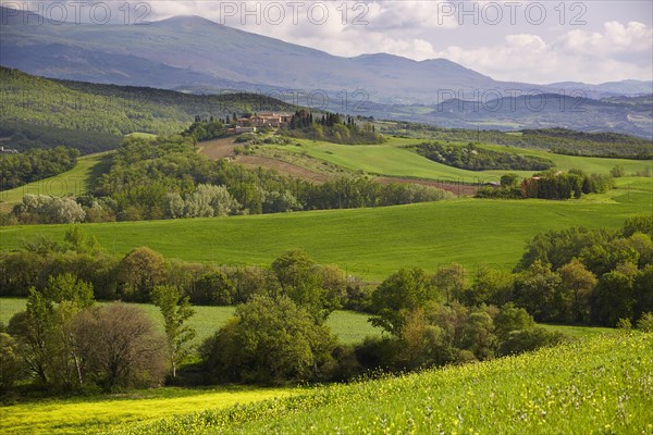 Hilly landscape of the Crete Senesi region