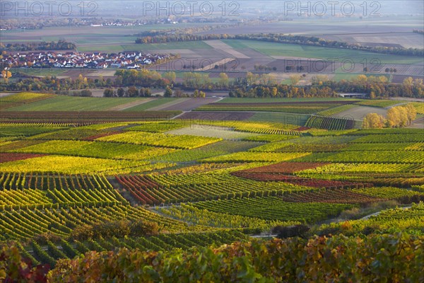 Autumn on the Main River Loop