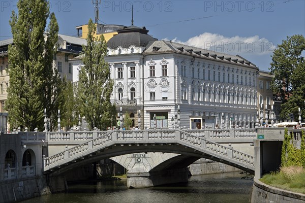 Three bridges