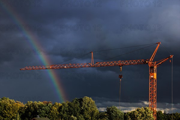 Crane in front of a rainbow