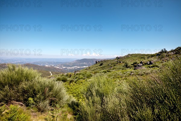 Landscape in the Douro region