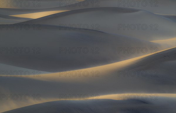 Mesquite Flat Sand Dunes on a windy morning