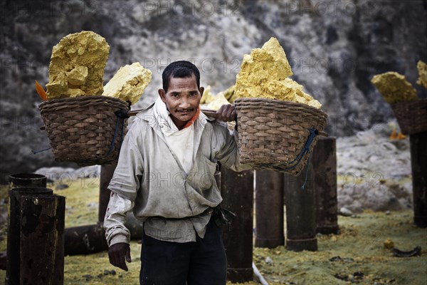 Sulfur carrier