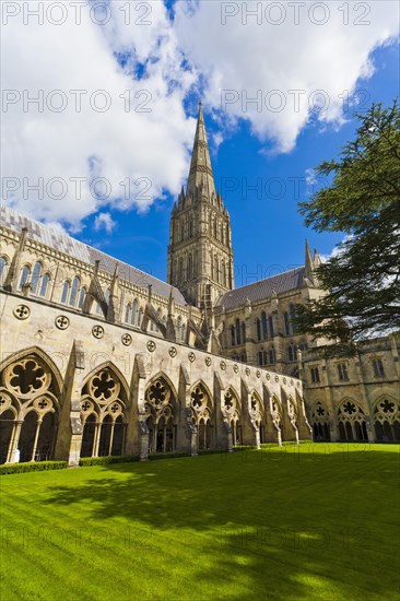 Cloister of the Cathedral