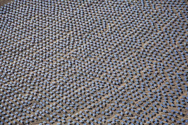 Brightsource Ivanpah Solar Electric Generating System