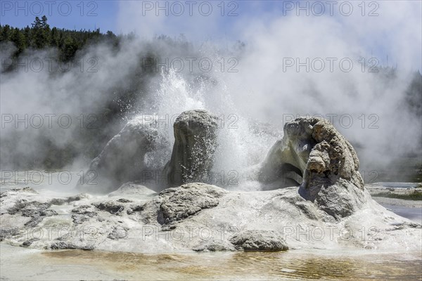 Grotto Geyser