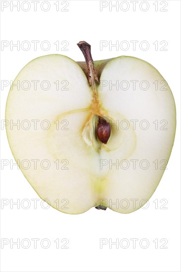 Apple variety Yellow Saxon Reinette