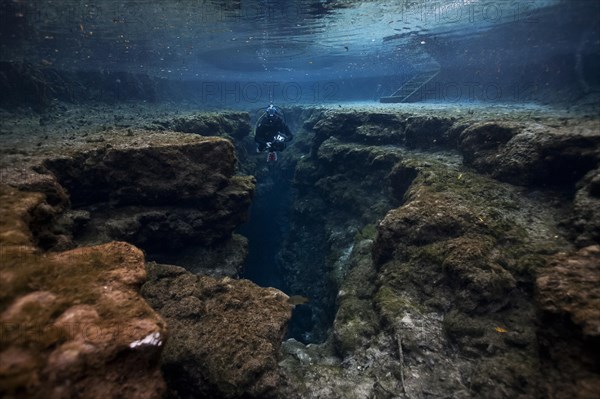 Diver at Little Devil in Santa Fe River