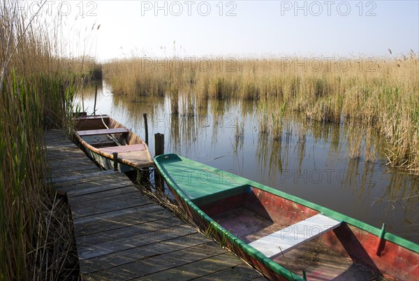 Fishing boat in the reeds on Lake Neusiedl