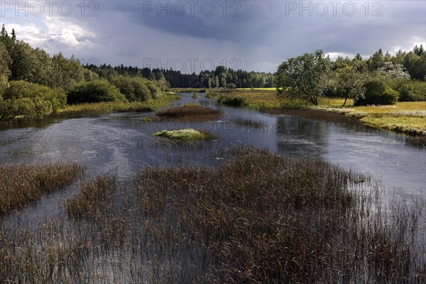 River Landscape