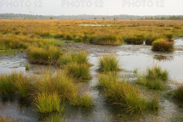 Moorlands