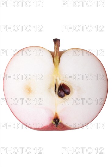 Apple variety Malvasia