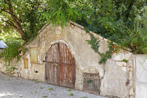 Wine cellar in a Kellergasse