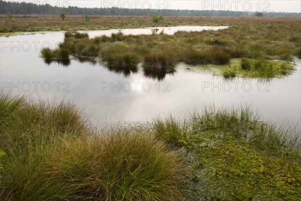 Moorlands