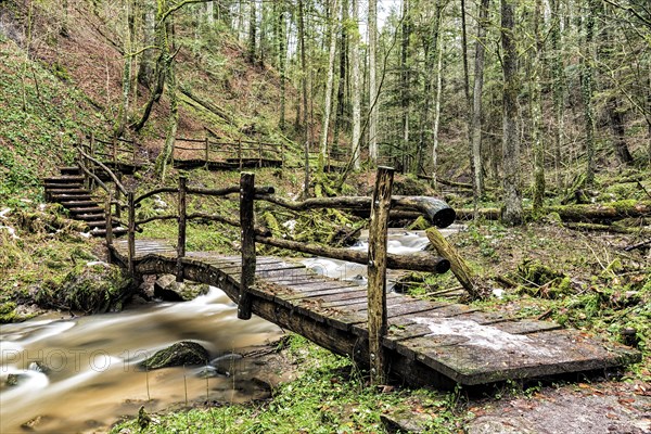 Strumpfelbach stream in winter