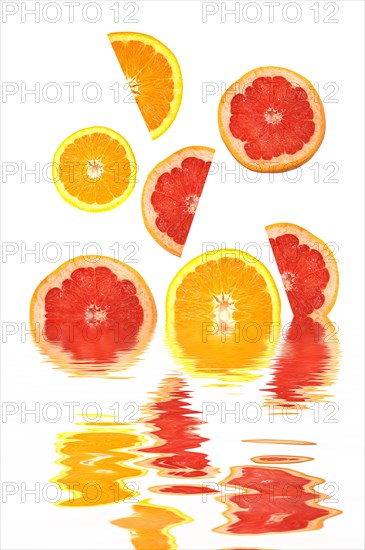 Orange slices and grapefruit slices with reflections in water