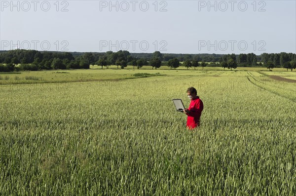 Scientist at grainfield