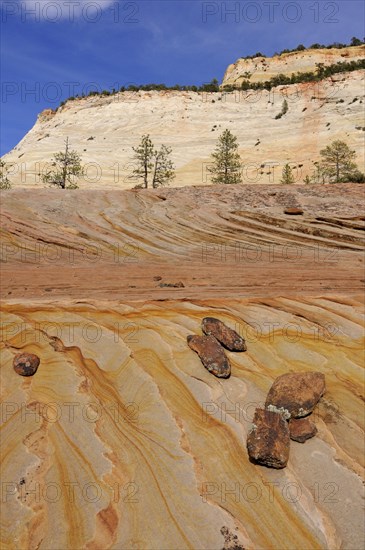 Plateau of colourful sandstone at the foot of Checkerboard Mesa