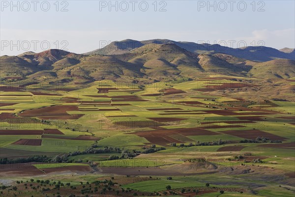 Field landscape in Gercus