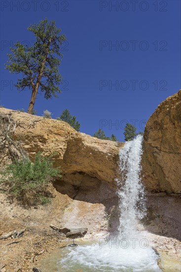 Waterfall at Mossy Cave Trail