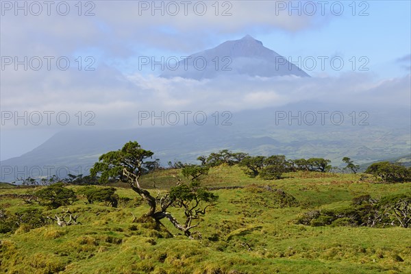 Pico mountain