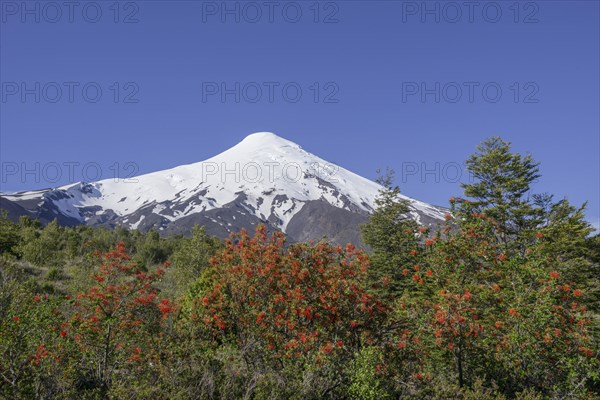 Osorno volcano