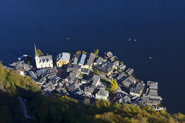 Hallstatt lake view from above